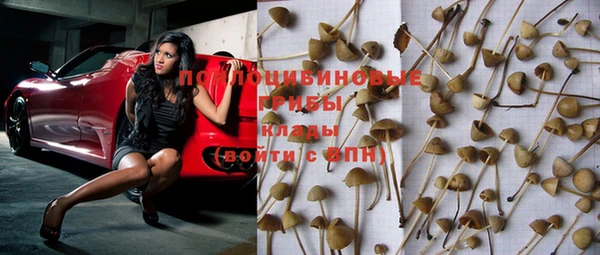 прущая мука Сосновый Бор