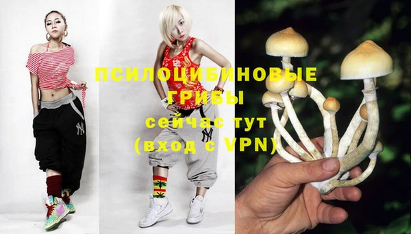 гашишное масло Сосновка