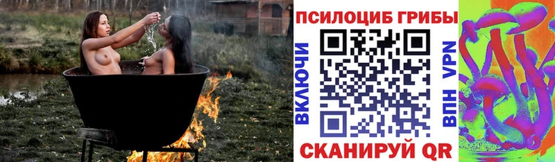 где купить наркотик Дыгулыбгей Галлюциногенные грибы ЛСД